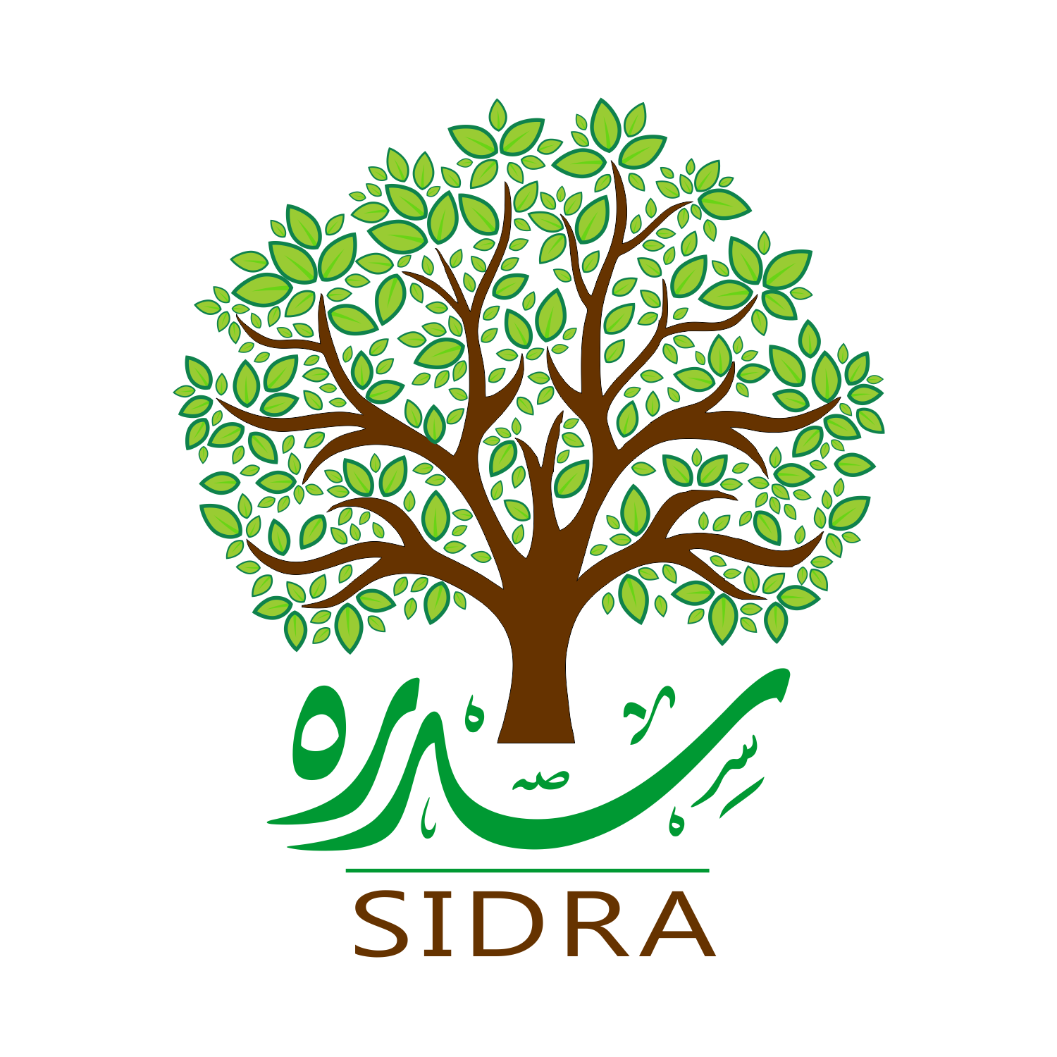 Sidra Community Wellness (Diversity in Health Training Institute) Sidra Community Wellness (Diversity in Health Training Institute)